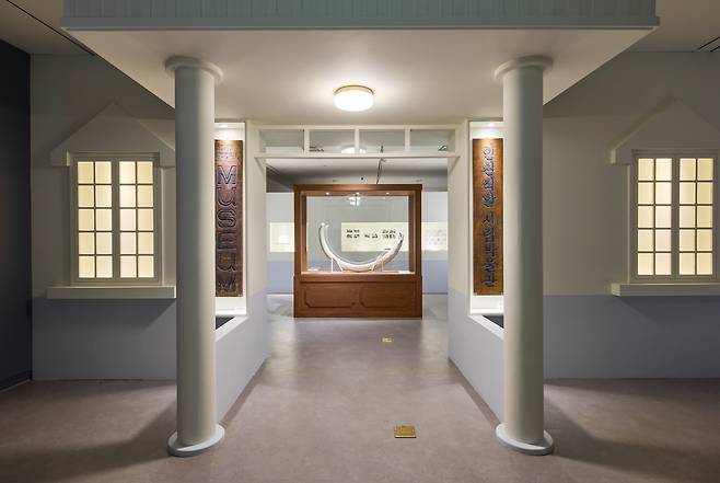 '우리 박물관의 기구한 손님들' 전시 도입부. 거대한 매머드 상아가 관람객을 맞는다. /인천시립박물관