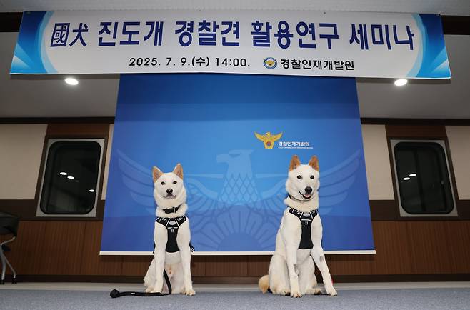 9일 오후 충남 아산 경찰인재개발원에서 진돗개 경찰견 활용연구 세미나를 개최했다. 상만(왼쪽)과 임회(오른쪽)의 모습./박성원 기자
