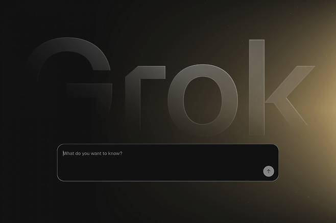 지난 5월5일 xAI 웹사이트의 인공지능(AI) 챗봇 그록의 검색 화면 모습. 2025.07.09 AP 뉴시스