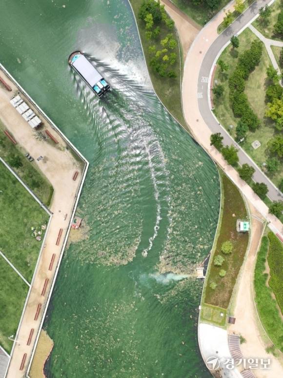 10일 짧은 장마 뒤 이어진 폭염으로 녹조와 부유물이 확산한 인천 연수구 송도센트럴파크 호수를 수상택시가 지나고 있다. 조병석기자