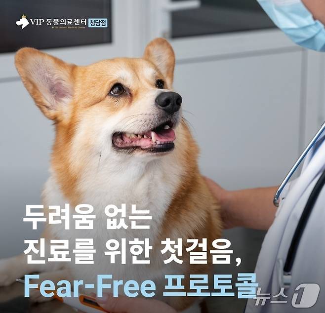 VIP동물의료센터 청담점이 아시아 최초 '피어프리 인증 동물병원(FFCVP)'으로 공식 인증 받았다(VIP동물의료센터 제공). ⓒ 뉴스1