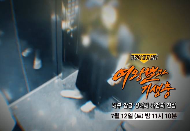 ‘그것이 알고 싶다’(그알) 1451회 ‘여왕벌과 기생충’ ― 대구 감금 성매매 사건의 진실 SBS