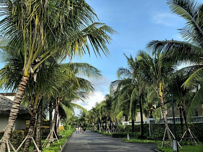 리조트 산책로.