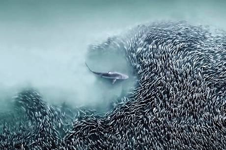 '올해의 국제 항공 사진작가 2025' 우승자 조안나 스티들이 촬영한 사진. 사진=Joanna Steidle/International Landscape Photographer of the Year