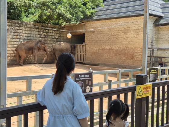 지난 6일 오후 광주광역시 북구 우치공원 내 동물원에서 시민들이 아시아 코끼리를 바라보고 있다. 우치동물원은 최근 환경부로부터 제2호 거점동물원에 지정돼 매년 3억2000만원씩 5년간 총 16억원을 지원받게 됐다. 황희규 기자