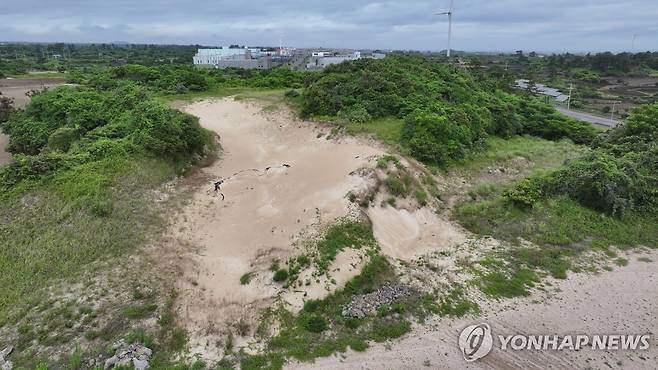 제주 한동리 단지모살 해안사구 (제주=연합뉴스) 박지호 기자 = 제주시 구좌읍 한동리 단지모살. 해변에서 떨어진 육지에 있지만 마치 모래 해변과 같은 모습이다. 2025.7.13. jihopark@yna.co.kr
(끝)
