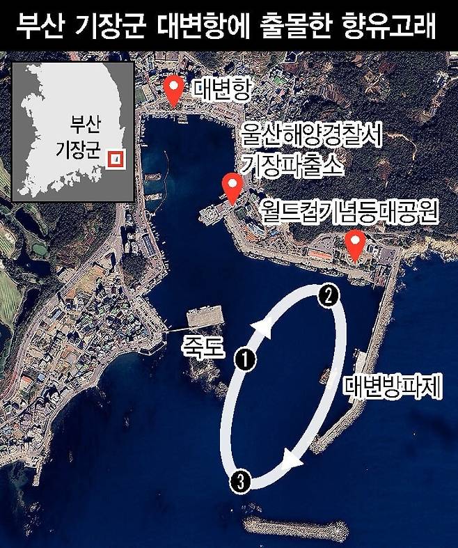 지난 13일 오전 향유고래의 동선