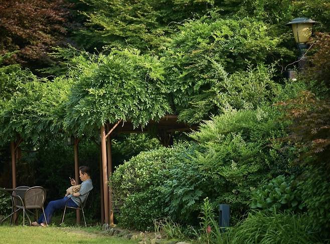 이재명 대통령이 한남동 관저 정원에서 반려견 '바비'와 함께 휴식하고 있다. 이 대통령 인스타그램 캡처