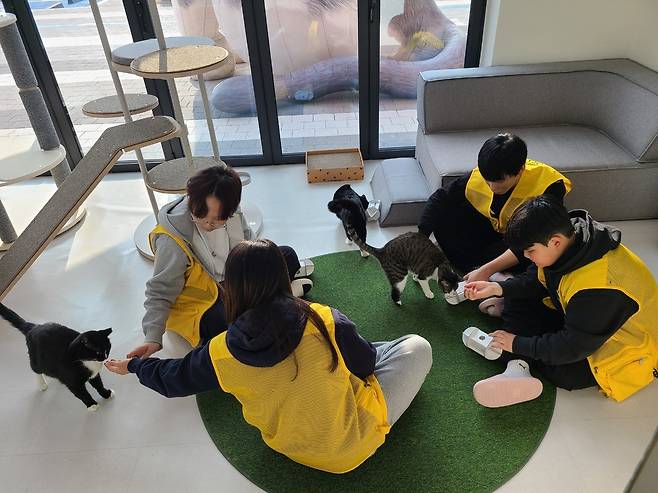 '유기동물과 함께하는 생명존중교육 연계 여름방학 봉사활동 프로그램'에 참가한 청소년들