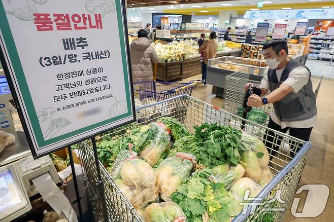 서울의 한 대형 마트에서 배추 품절 안내를 하고 있다. 2024.11.18/뉴스1 ⓒ News1 민경석 기자