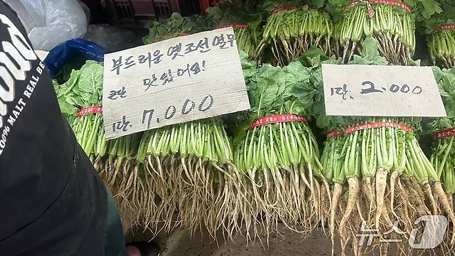 이날 울산농수산물 소매동 청과동에서 만난 한 상인이 조선열무의 가격이 올 초와 비교해서 2배 이상 뛰었다며 하소연하고 있다..2025.7.16/뉴스1 ⓒNews1 김지혜 기자
