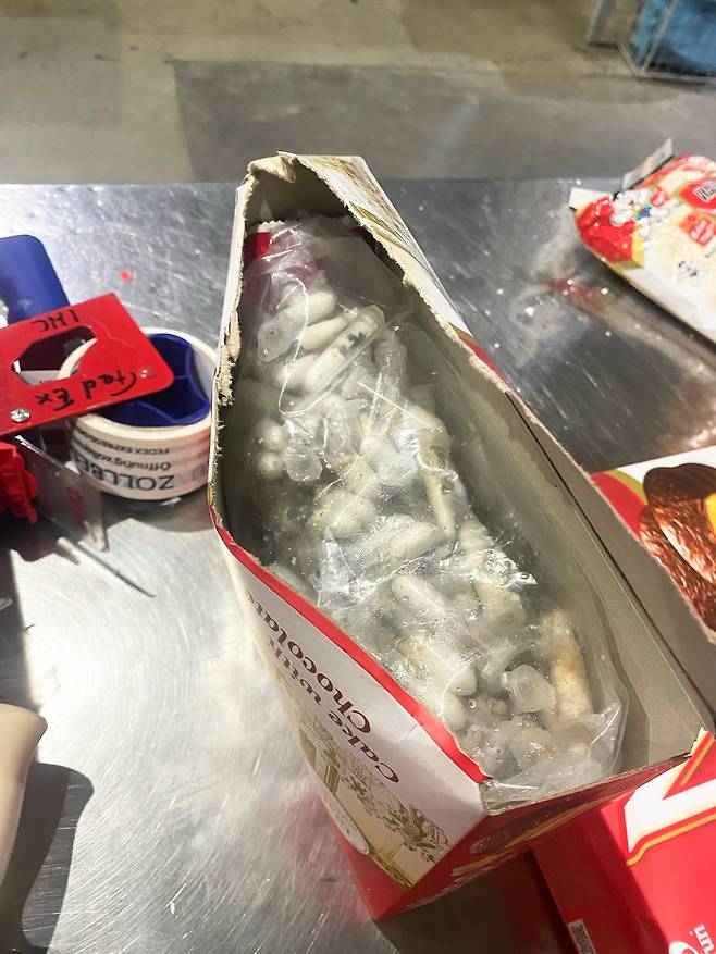 케이크 상자 안 플라스틱 용기에 새끼 타란툴라가 숨겨져 있다. /AP 연합뉴스