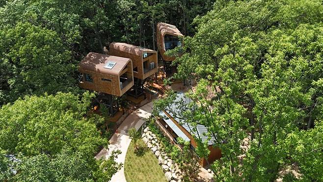 서울 수락산 자연휴양림에 설치된 '트리하우스' 전경. 서울시 제공