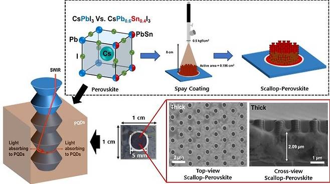 스캘럽(Scallop)-페로브스카이트 양자점 이종접합 텐덤 광센서 개요도.