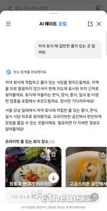 카카오맵 'AI 메이트 로컬'