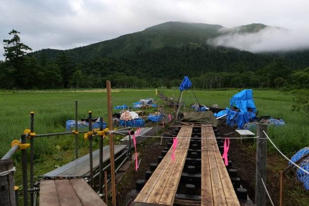 낡은 목재 패널을 교체하는 보수 공사 / JAPAN NOW