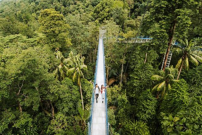 말레이시아 FRIM 셀랑고르 포레스트 파크