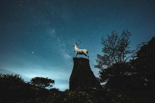제주 1100고지 야경. 제주관광공사 누리집 갈무리.