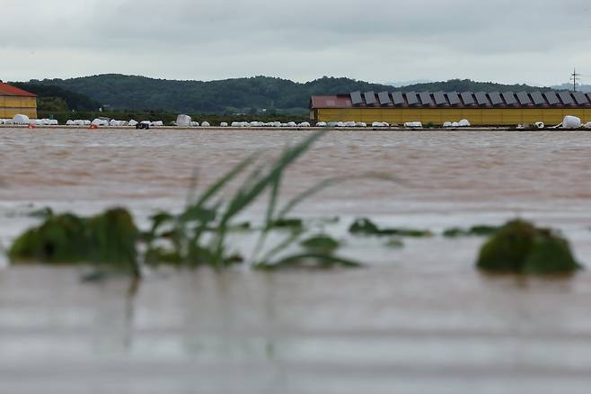 충남에 시간당 100mm의 물폭탄이 쏟아진 17일 오전 충남 당진시 신송리 인근 농경지가 물에 잠겼다. /박성원 기자