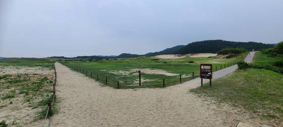 충남 태안군 신두리사구. 동서트레일에 포함된 구간이다. 사진 산림청