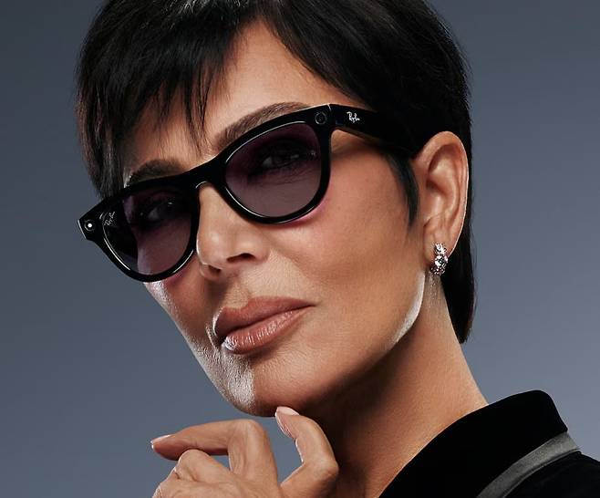 레이벤메타 'WAYFARER' / 사진=레이벤 공식 홈페이지