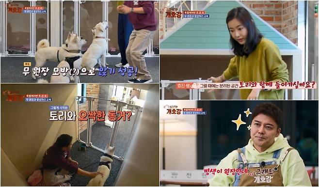 사진제공=JTBC ‘집 나가면 개호강’