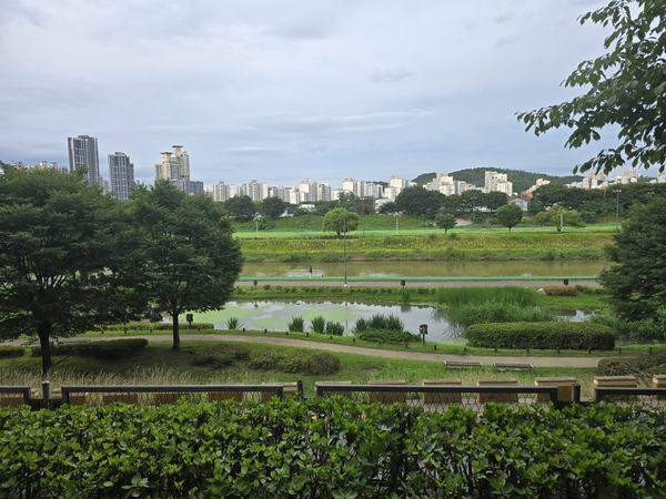 제방도로 위에서 왕숙천을 바라보면 중간에 놓인 연못이 생태습지다. 2025.7.18 /한철수 구지옛생활연구 소장 제공