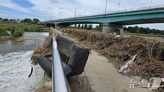 폭우가 휩쓸고 간 아산 곡교천 인도교에 수풀과 소파가 엉겨붙어있다..2025.7.20/뉴스1ⓒNews1 이시우 기자