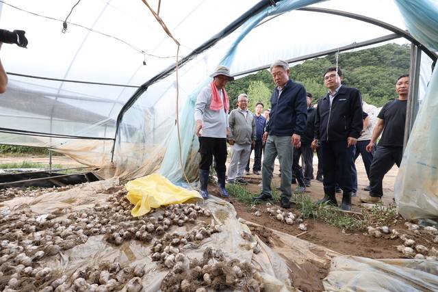 20일 경남 합천군 율곡면의 한 마늘 건조 비닐하우스에서 강호동 농협중앙회장(오른쪽 세번째)과 농민이 물이 들어찼던 현장을 살펴보고 있다. 합천=김병진 기자