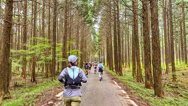 초반 내리막 임도길. 나지막한 경사로 이뤄져 있다. 신나게 뛰어 내려갈 수 있었다.