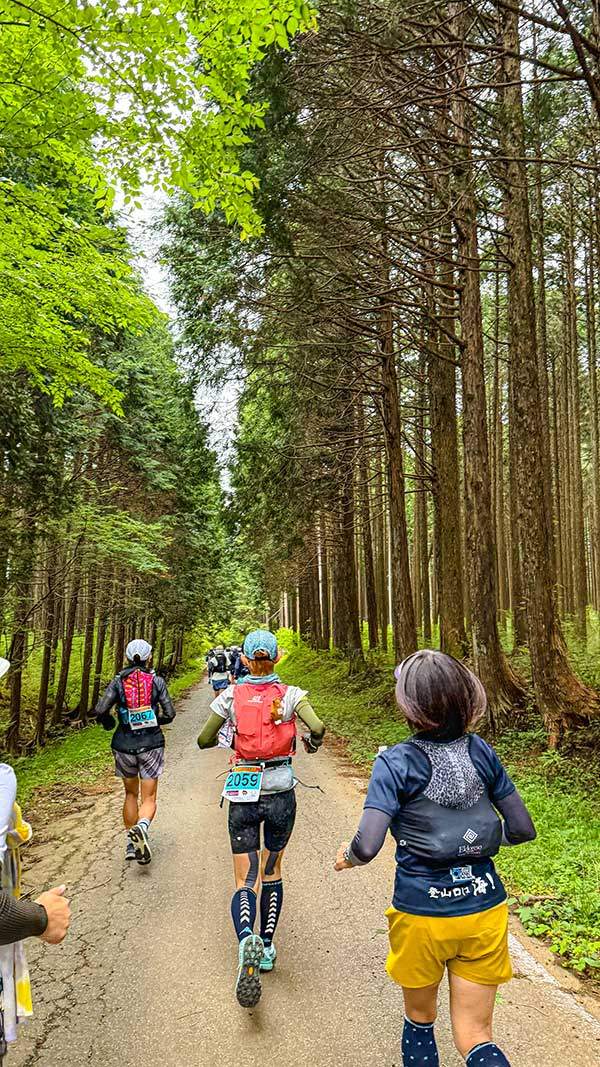 일본에서만 느낄 수 있을 것 같은 풍경. 일본의 여성 트레일러너들이 앞에서 달리고 있다.