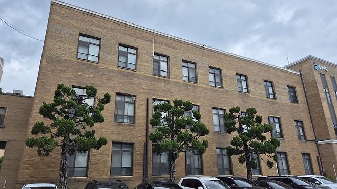 충북도청 향나무. 300그루가 넘었던 소나무는 17그루만 충북도청 안에 남았는데 그나마 꼭대기 등을 전지해 ‘목 잘린 나무’가 됐다. 오윤주 기자