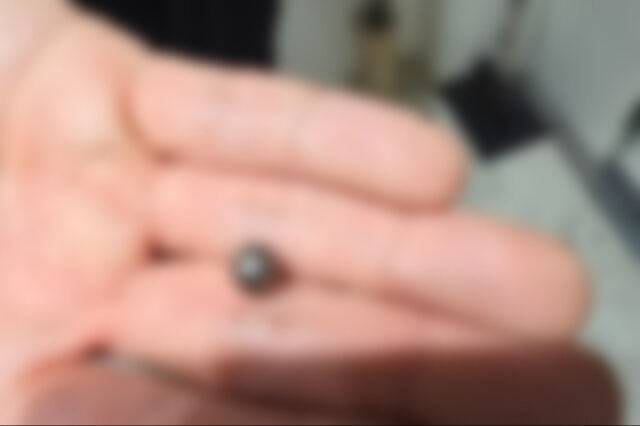 아들을 살해한 혐의로 체포된 60대 남성이 범행에 사용한 탄환의 모습. 인천경찰청 제공