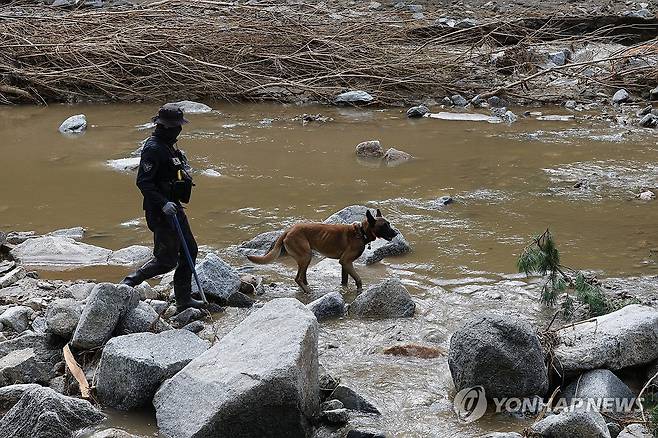 가평 괴물 폭우 '실종자 수색' (가평=연합뉴스) 임병식 기자 = 22일 경기도 가평군 조종면 마일리에서 경찰이 탐지견으로 실종자 수색 작업을 벌이고 있다. 2025.7.22 andphotodo@yna.co.kr