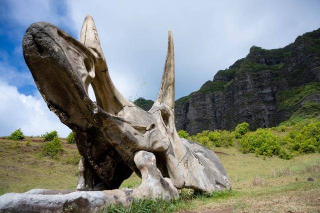 미국 하와이주 오아후 쿠알로아 랜치의 공룡 두개골 모형.