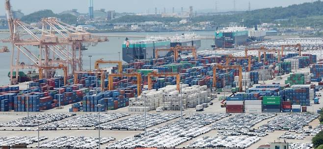 경기 평택시 포승읍 평택항에 수출용 컨테이너들이 세워져 있는 모습./사진제공=뉴스1