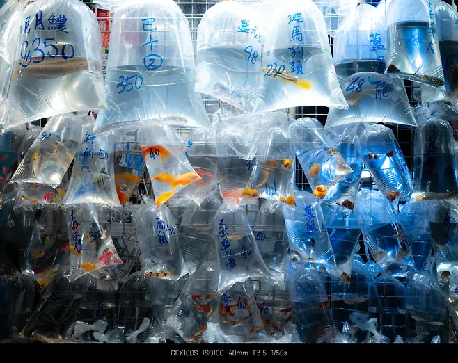 129af61ebd826df520a8d3b706f11a398227ba9c87f2d2a6cc