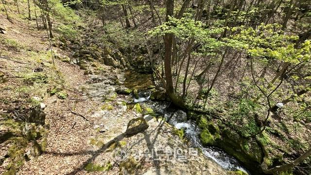 ▲ ‘2025 태백 in 발원지 백패킹 페스티벌’이 오는 26일부터 27일까지 2일간 통리 탄탄파크 일원에서 200여명이 참가한 가운데 진행된다. 한강 발원지 창죽동 검룡소 모습. 전인수