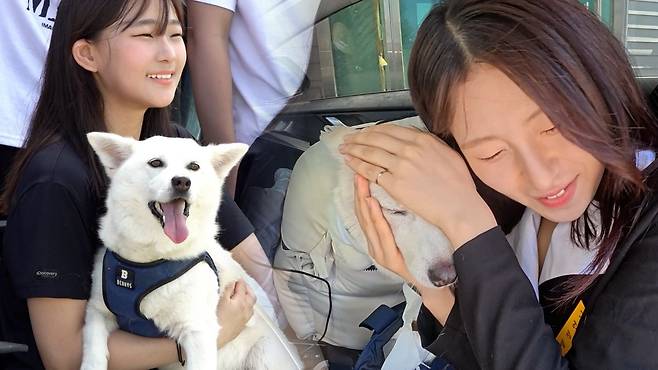 전남 체육고에서 지내던 유기견 둥이가 졸업을 앞둔 학생들과 마지막 기념사진을 촬영하고 있다. 3년 전 학교에 등장했을 때만 해도 둥이는 내일을 기약할 수 없을 만큼 병약한 유기견이었다. 하지만 이후 학생과 코치들의 정성 어린 돌봄을 받아 건강을 되찾고, 온 학교를 누비며 귀여움을 독차지하는 마스코트 같은 존재가 됐다. 전병준 기자