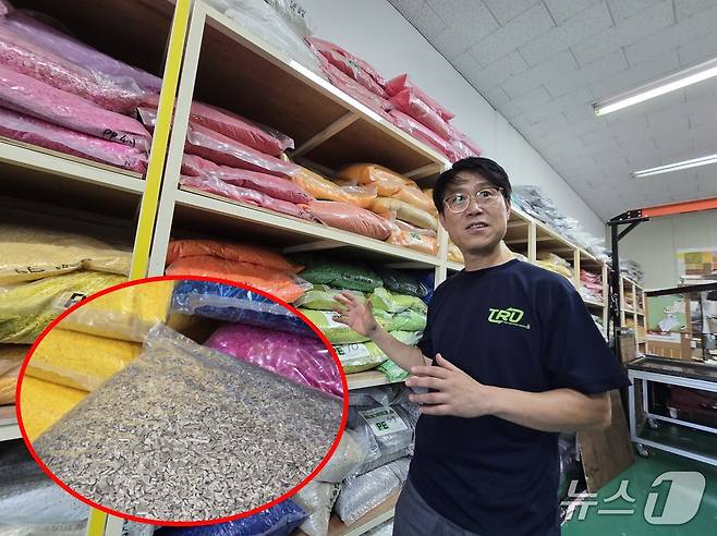 박준성 사단법인 트루 사무총장이 26일 뉴스1에게 장난감에 사용된 플라스틱으로 만든 플레이크 '낱알'을 보여주고 있다. 낱알은 색깔별로 분류한 플라스틱을 잘개 쪼갠 조각이다. ⓒ 뉴스1 황덕현 기자