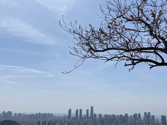 ▲ 청량산에서 내려다본 송도국제도시 전경. /인천일보DB