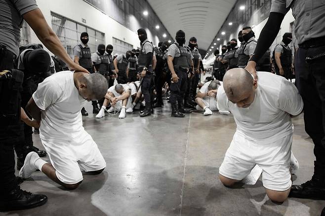 2025년 3월16일 미국에서 추방된 베네수엘라 출신 이주민들이 엘살바도르 세코트 교도소에서 무릎을 꿇고 있다. AFP 연합뉴스