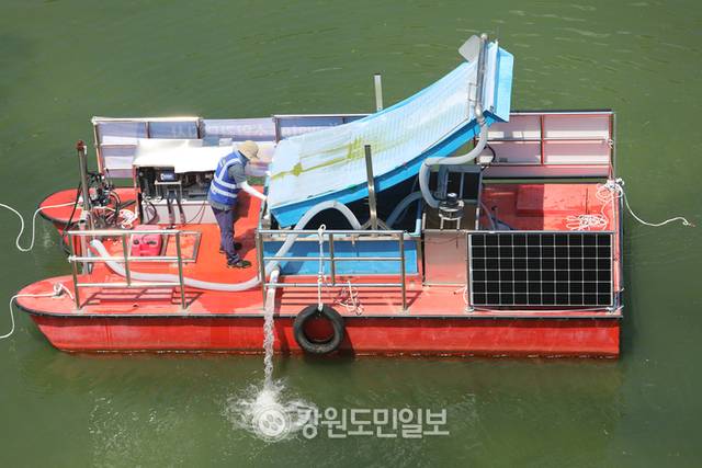 ▲ 연일 최강 폭염이 이어지면서 한강 최상류인 인제군 소양호 일원에 녹조가 발생해 확산 방지에 비상이 걸린 가운데 29일 K-WATER 소양강댐지사 관계자들이 인제대교 인근 소양호에서 녹조제거작업을 벌이고 있다. 이동명 기자