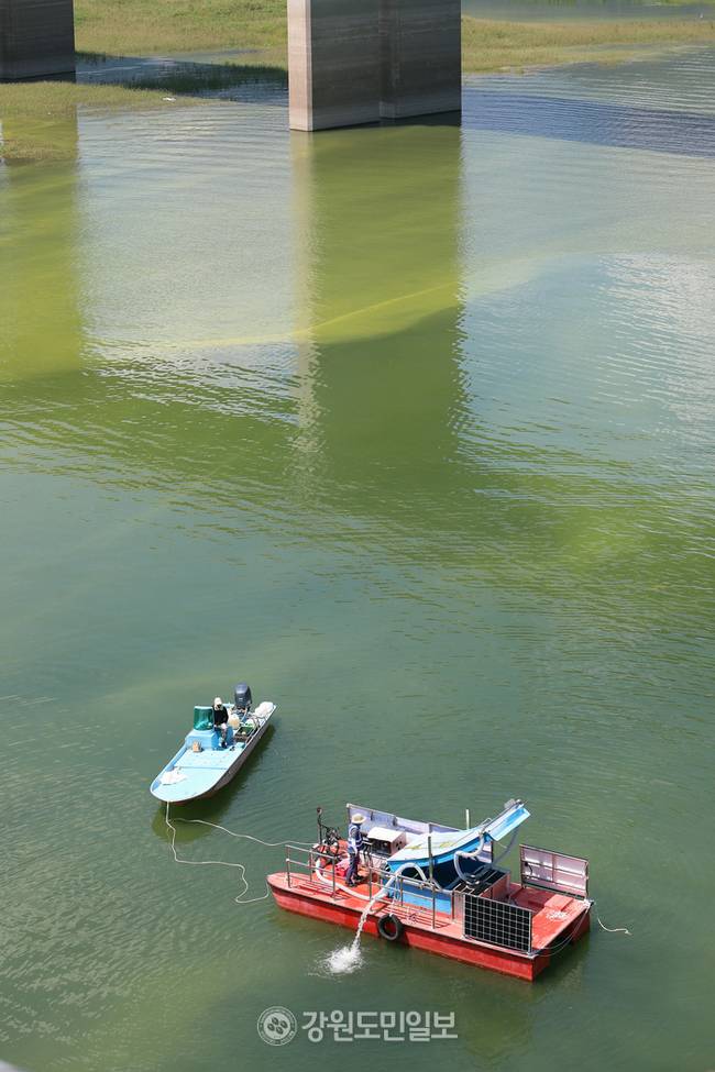 ▲ 연일 최강 폭염이 이어지면서 한강 최상류인 인제군 소양호 일원에 녹조가 발생해 확산 방지에 비상이 걸린 가운데 29일 K-WATER 소양강댐지사 관계자들이 인제대교 인근 소양호에서 녹조제거작업을 벌이고 있다. 이동명 기자