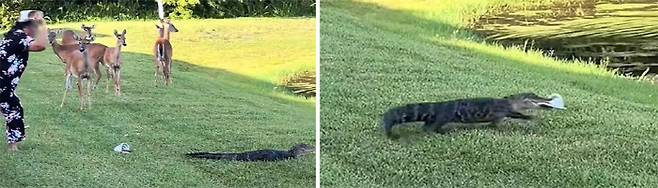 사진출처=틱톡, 데일리메일