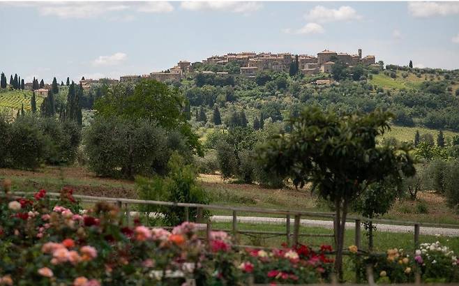 카스텔누오보 텔라바테 전경. 홈페지