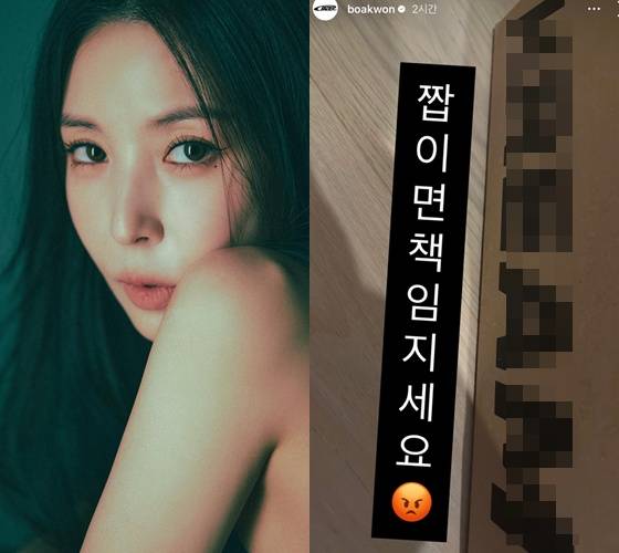 /사진=보아 인스타그램 캡처