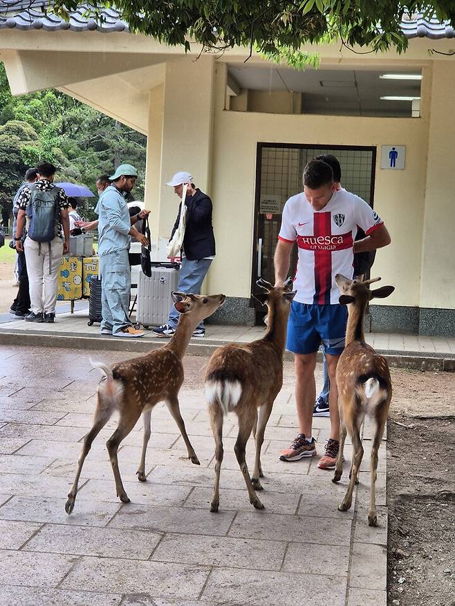 나라공원을 찾은 관광객이 사슴과 교감하고 있다.