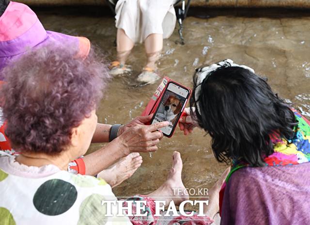 서울 낮 최고기온이 36도까지 오른 12일 오후 서울 여의도 한강공원 물빛광장을 찾은 시민들이 물가에서 더위를 식히며 반려견 사진을 보고 있다./이새롬 기자