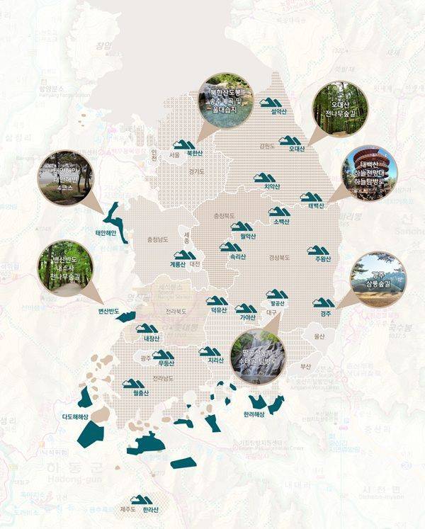 변산반도 내소사 전나무싶길 모습. ⓒ국립공원공단